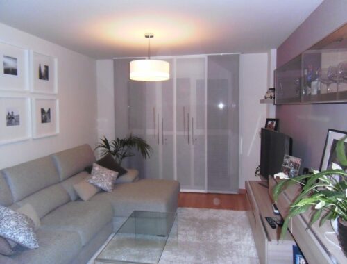 cortinas-leon-panel-japones-6